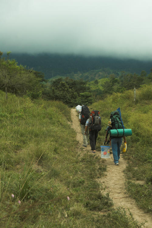 Cerro Pata de Pajaro