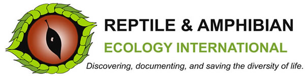 RAEI Logo