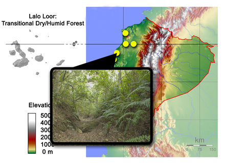 lalo loor map