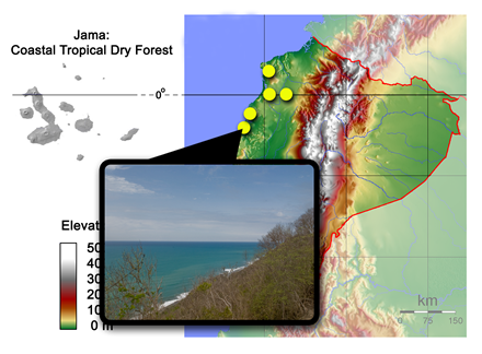 jama ecuador map