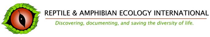 letterhead.jpg